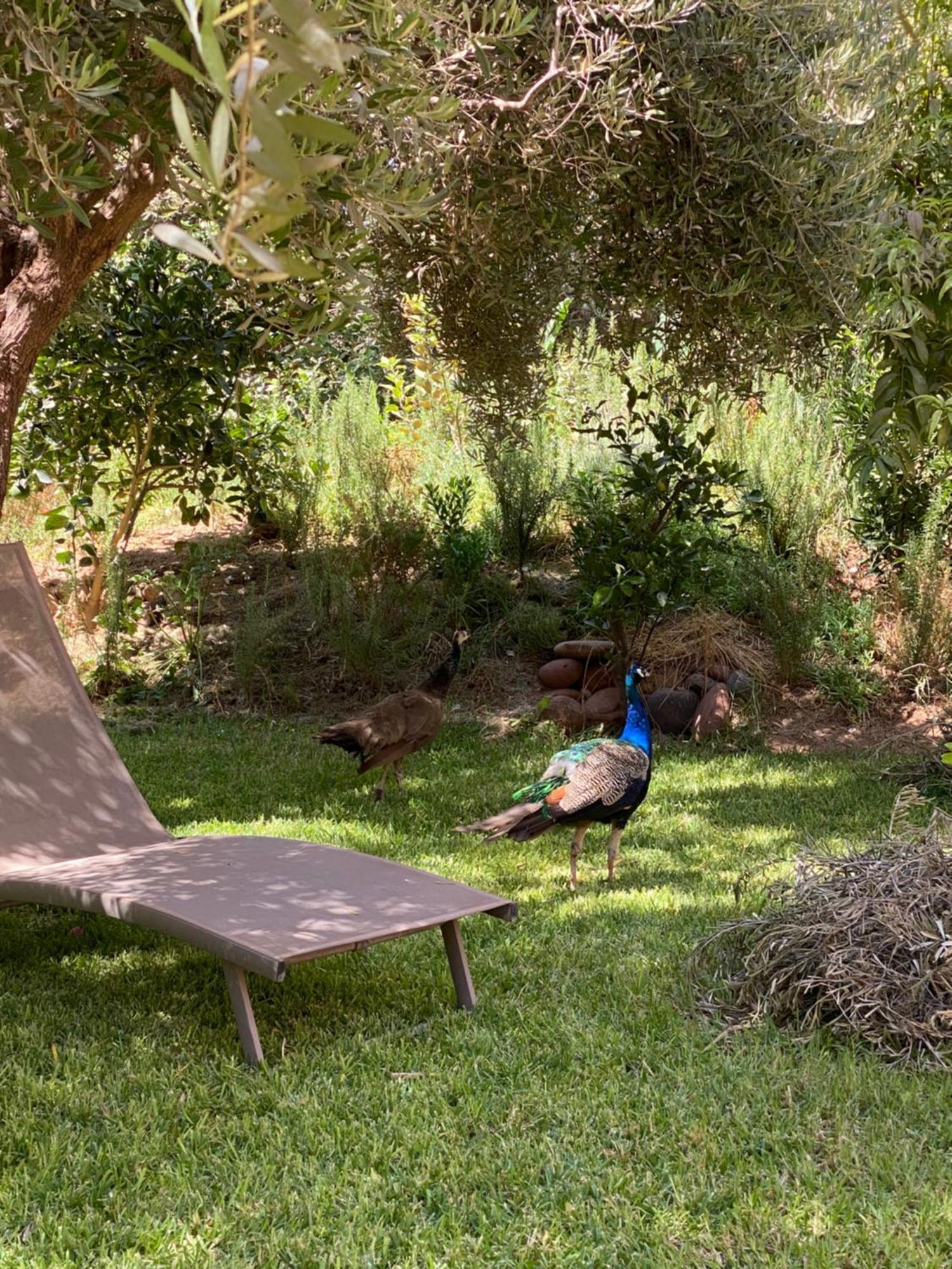 Jardin Sakina - Chambre D'Hotes Oulad Moumene Exteriör bild